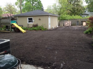 IMG_8650 Soil