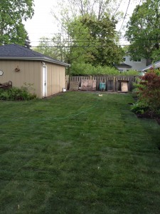 IMG_8655 With sod